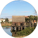 Andrea Maier profile picture